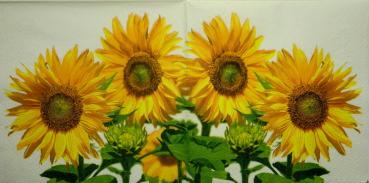119 Sonnenblumen - 3-lagig (119)